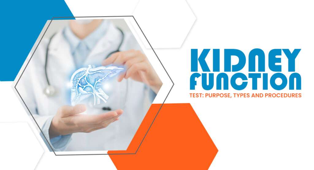 Kidney Function Test