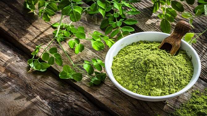 Moringa Powder in Pakistan