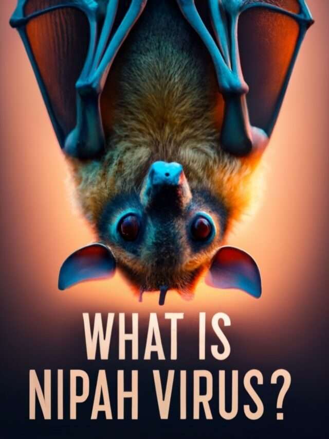 What is Nipah Virus?